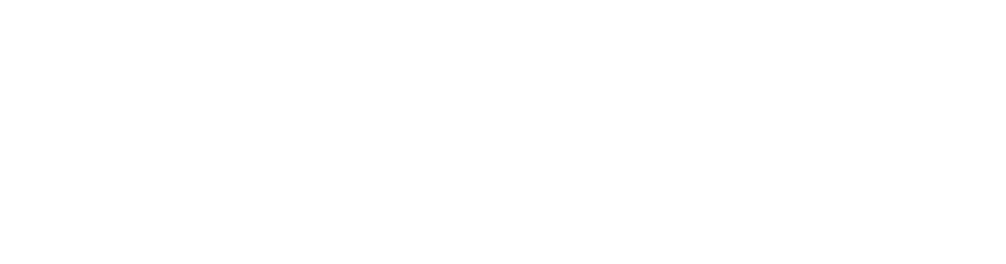 Magnetycs